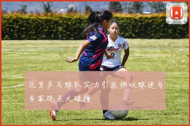 北京乒乓球队实力引发热议球迷与专家观点大碰撞