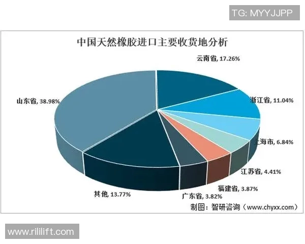 橡胶制品的创新应用与发展趋势分析及未来市场潜力探讨